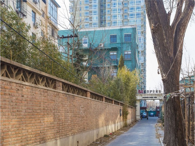 黑龙江双荧光自噬慢病毒